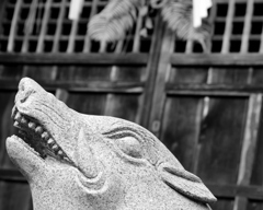 松の内_初詣。