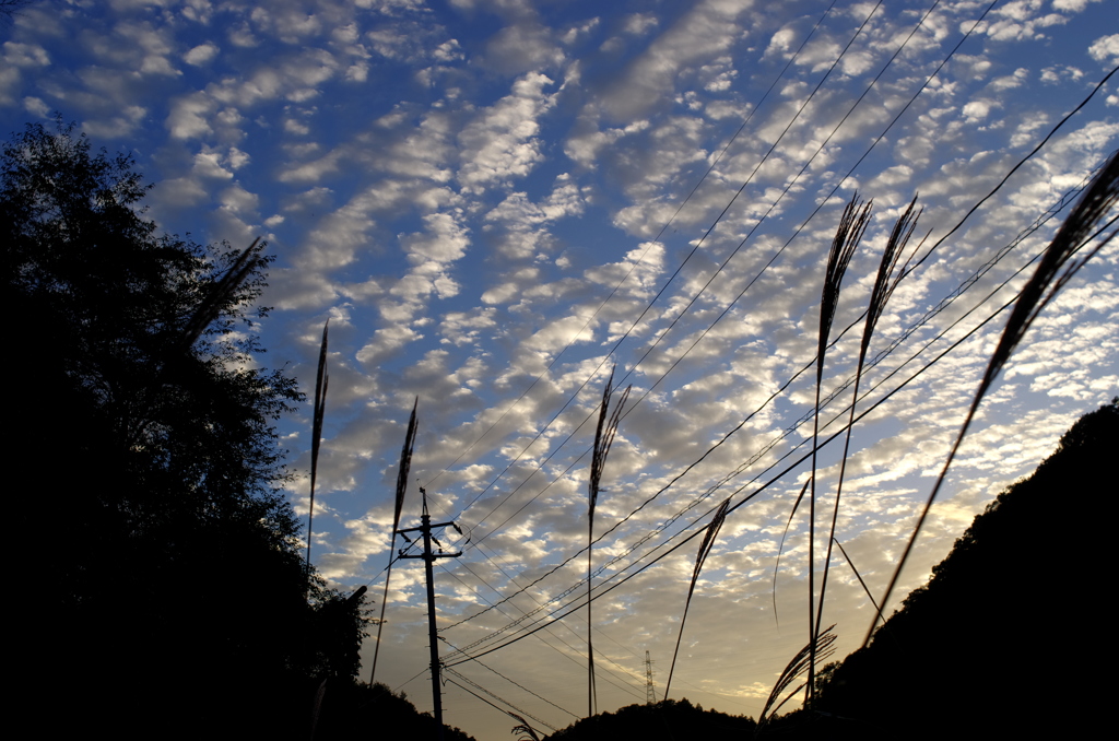 いわし雲。。