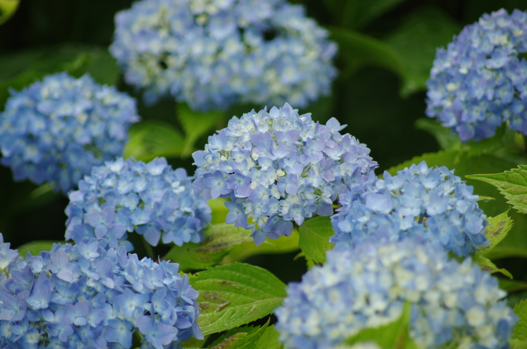 広島＿三景園借景＿２
