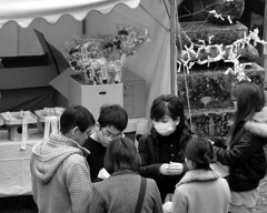 松の内_初詣。