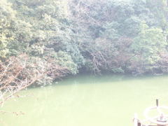 池
