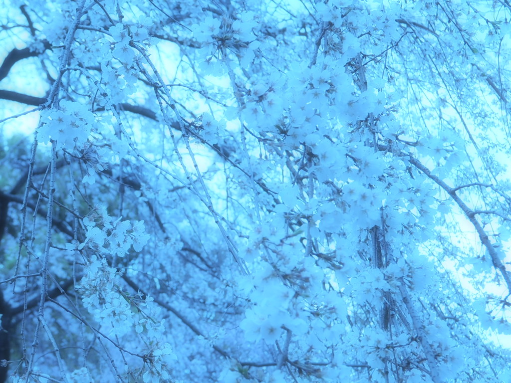 夢幻