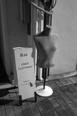 Rat