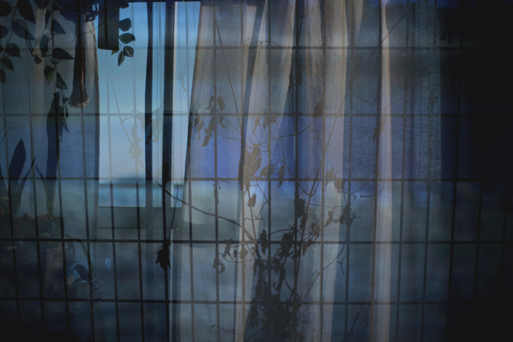 NEVER FALL IN LOVE AGAIN