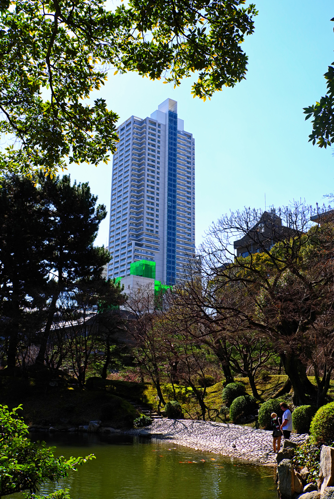 庭園と高層ビル