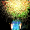 夜空に舞う
