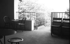 LOG Cafe