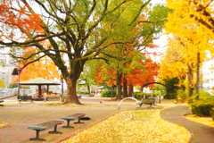 カラフルな秋の公園