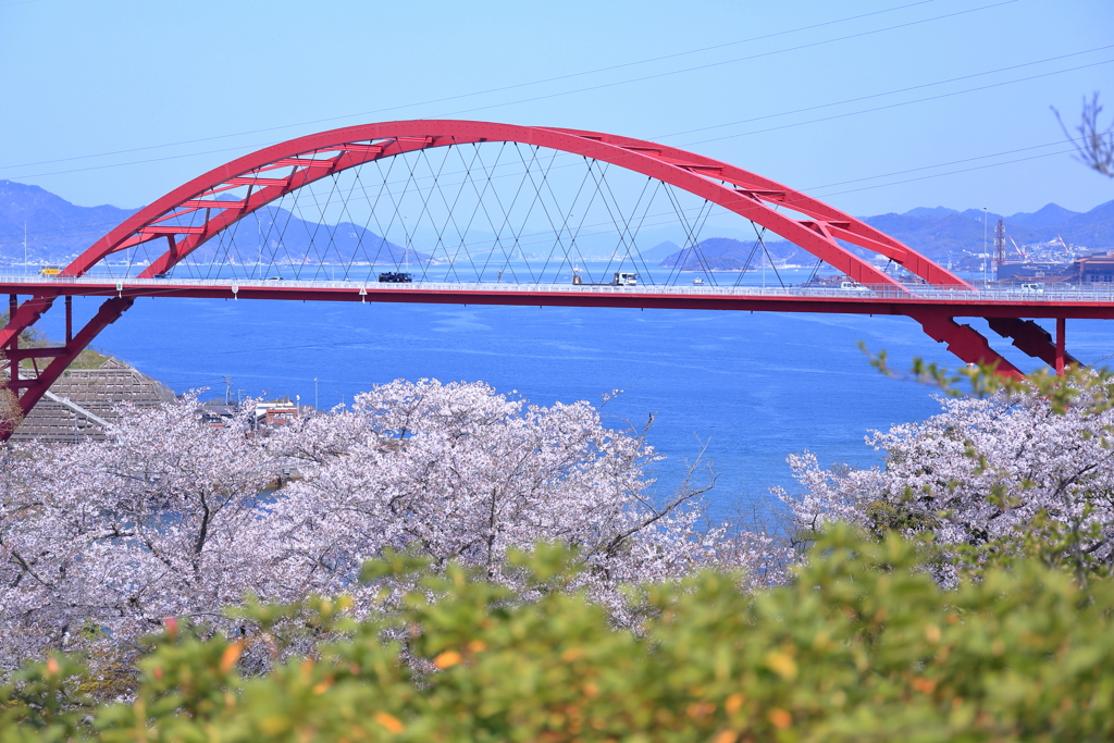 春の音戸公園