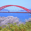春の音戸公園