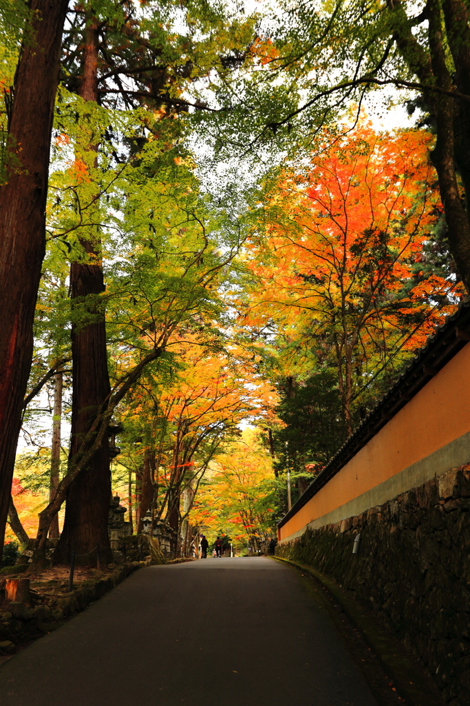 静寂の中を歩く
