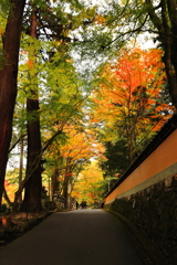 静寂の中を歩く