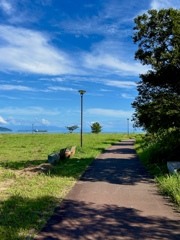 暑さに負けず
