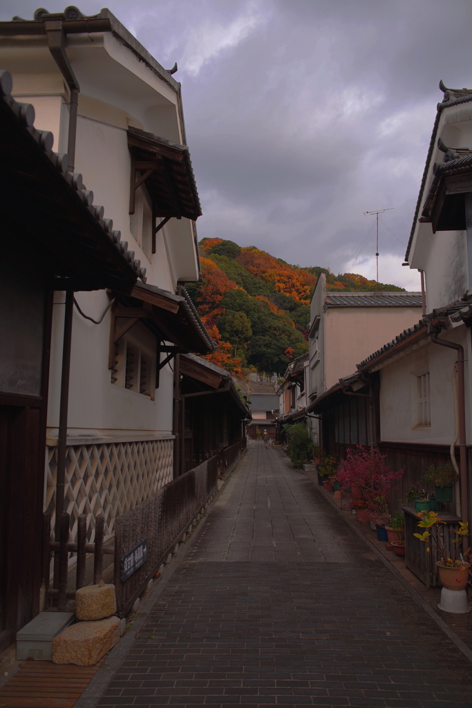 竹原　フォトウォーク