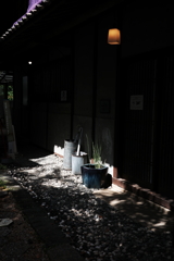 Spotlight