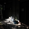 Spotlight