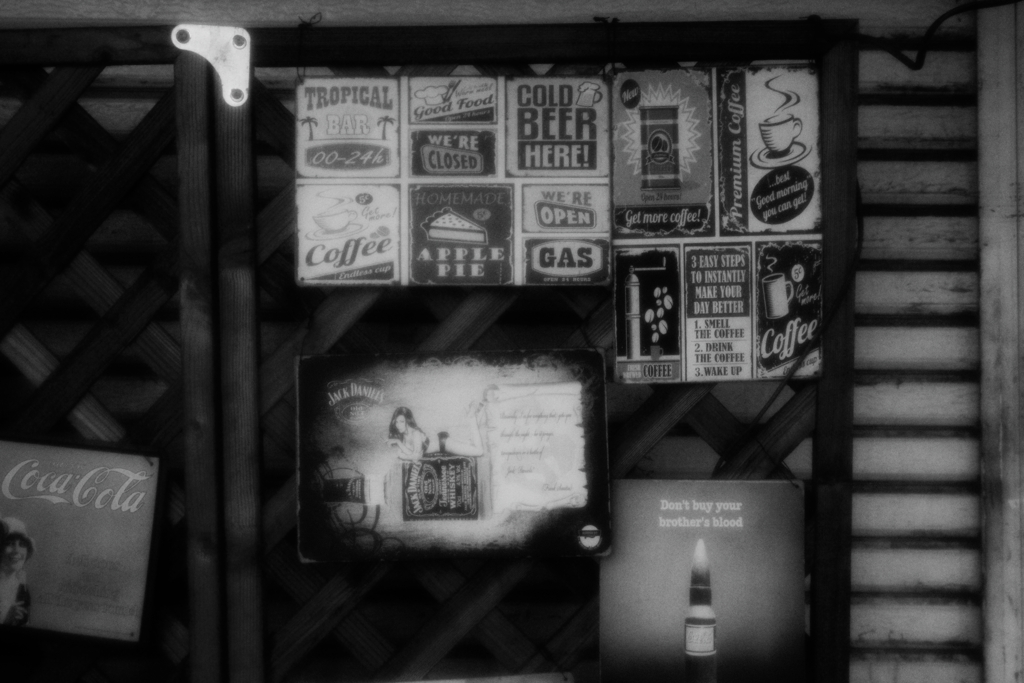 ズマールとお散歩