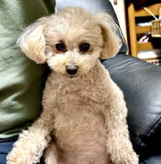 ソファで、リラックス。
