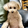 ソファで、リラックス。