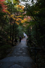 かんながらの道