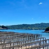 海