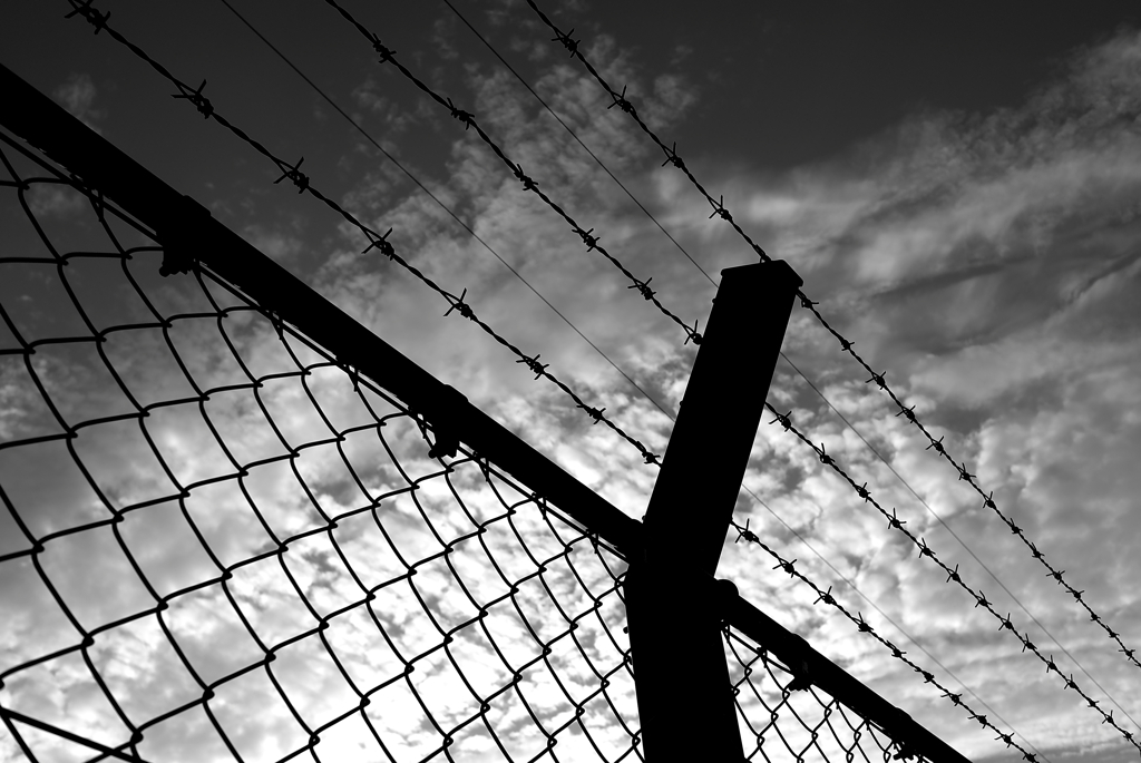 フェンスの向こうのアメリカ