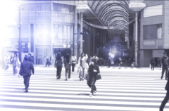 横断歩道