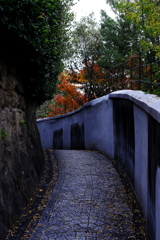 尾道フォトウォーク