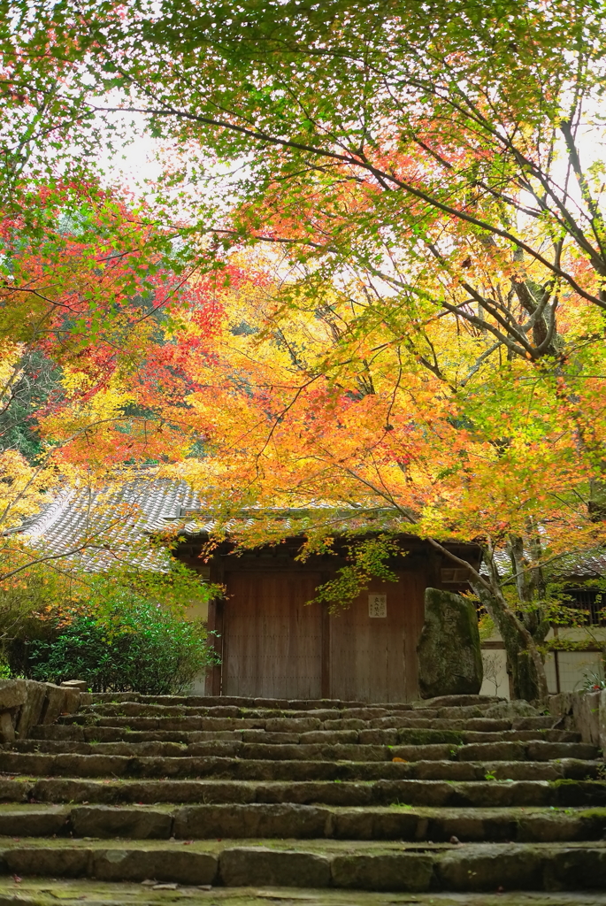 山寺