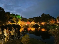 広島縮景園ライトアップ