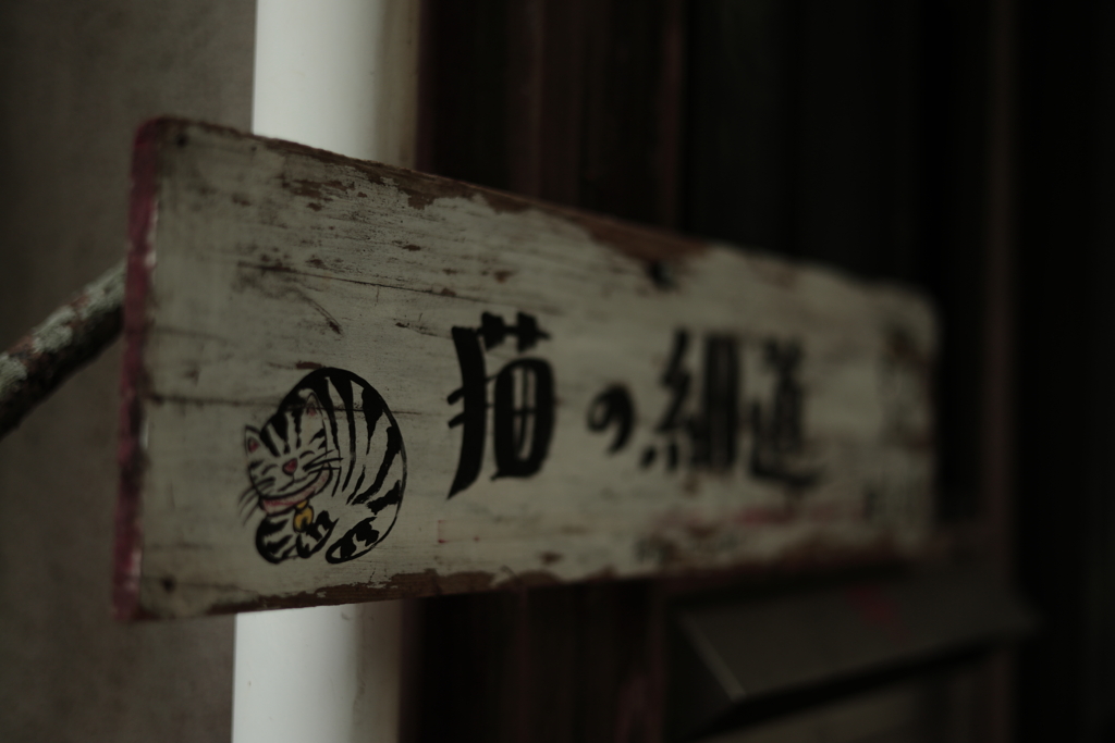 猫の細道