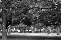 平和公園