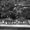 平和公園