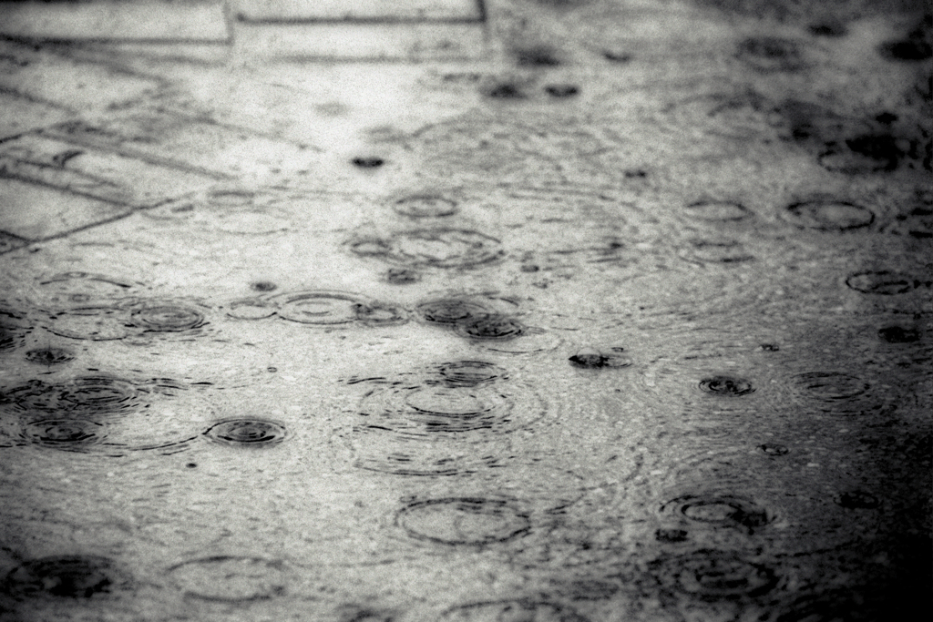 雨が空から降れば.............思い出は地面にしみこむ♪