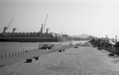 大和波止場公園