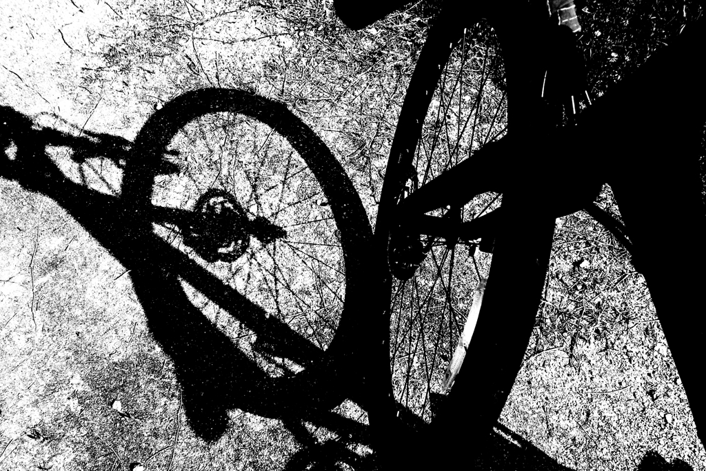 Shadow