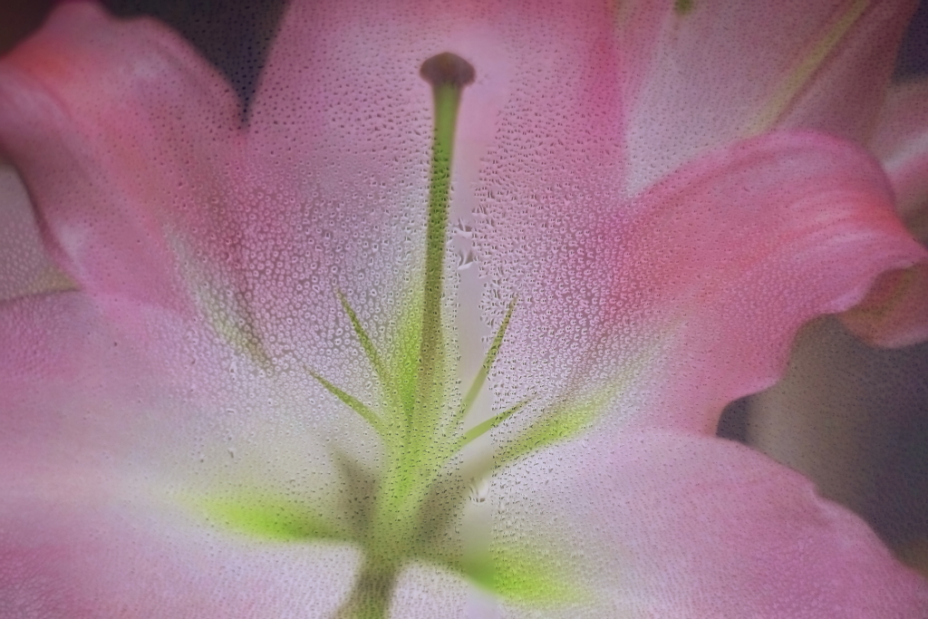 Water drop flower