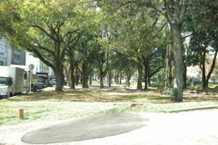 平和大通り