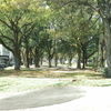 平和大通り
