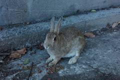 元気でいてね
