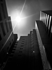 concrete jungle