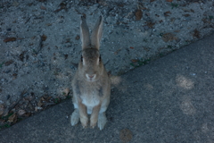 お待ちしておりました