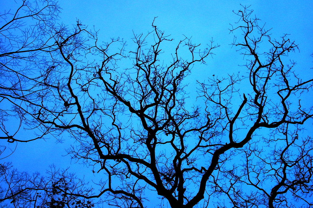 Blue