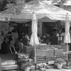 cafe ponte