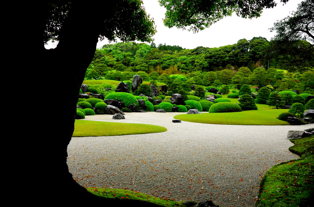 日本庭園③
