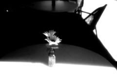 table flower