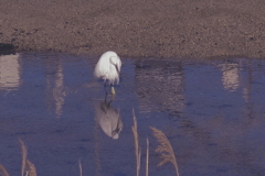 見つめる