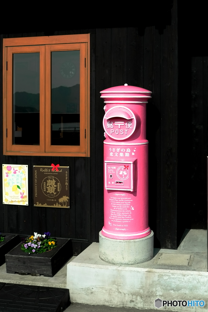 うさぎの島　恋文集箱