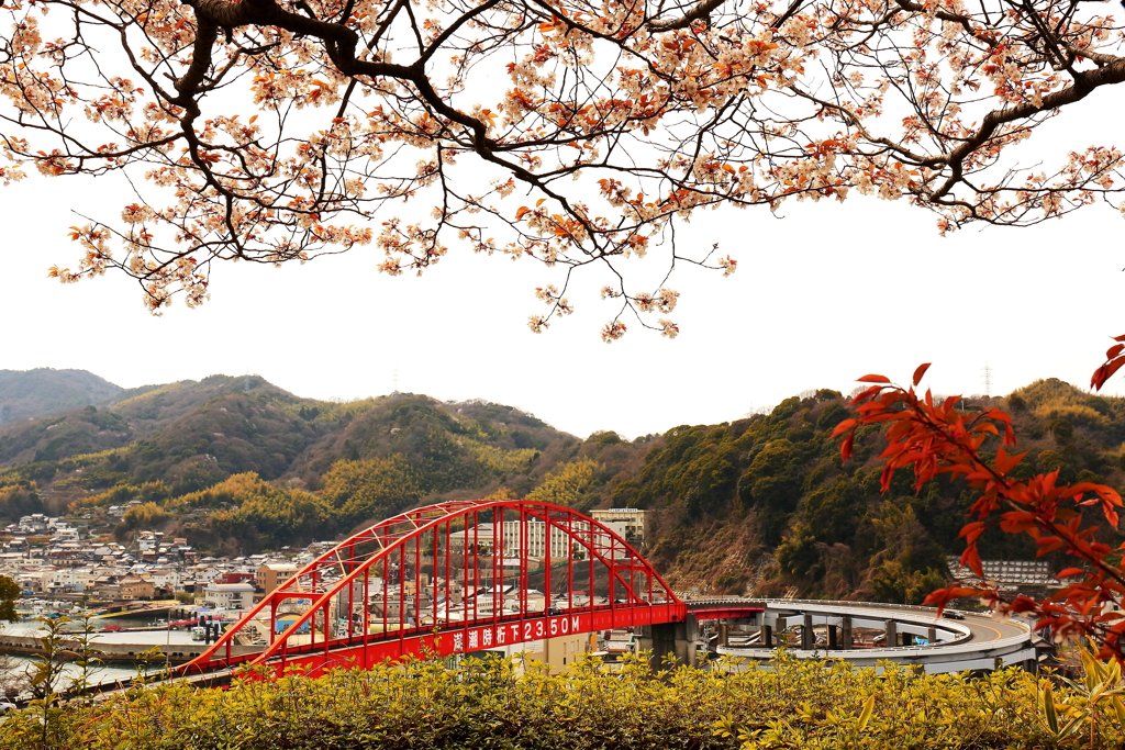 春の音戸大橋