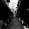 酒よ